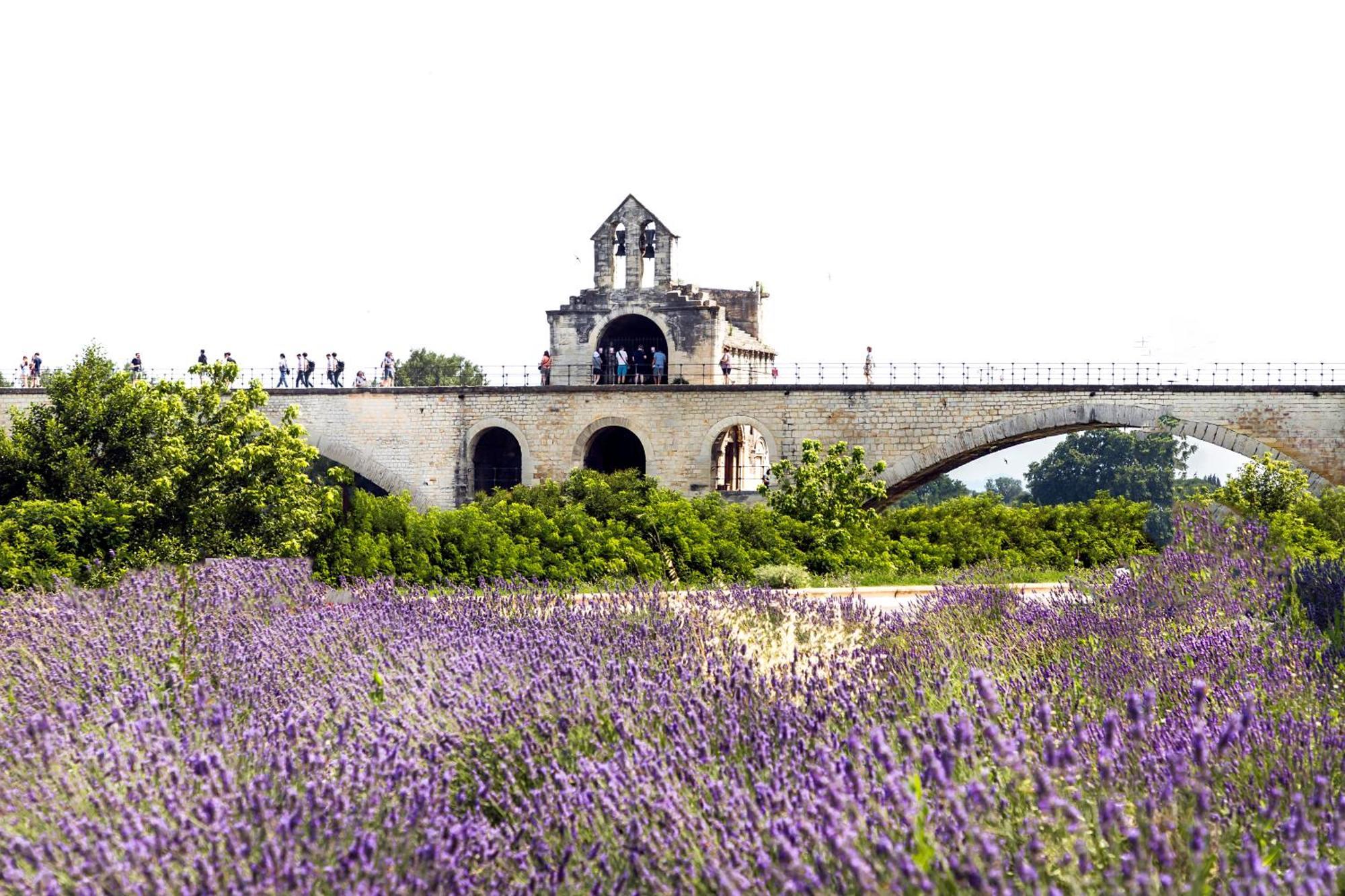 VivaCamp La Laune Villeneuve-lès-Avignon Exterior foto