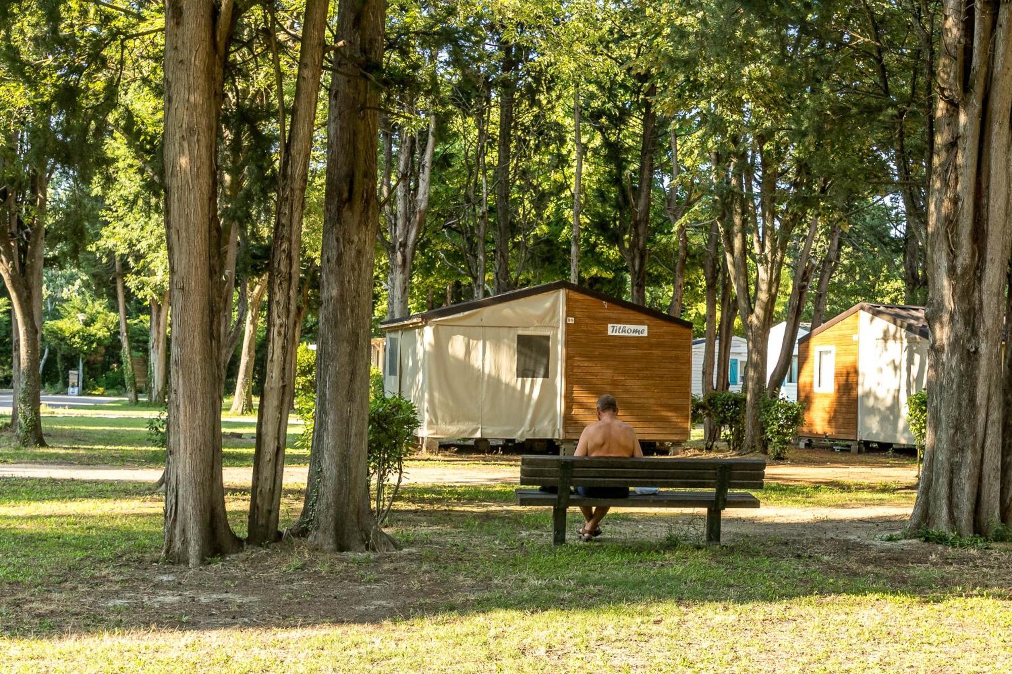 VivaCamp La Laune Villeneuve-lès-Avignon Exterior foto